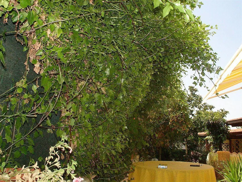 Casa S' Alzolitta Villa Magomadas Holiday home